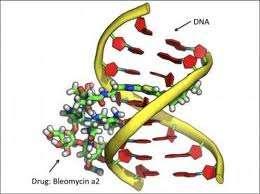 Pharmacogenetics The drug produced will bind to proteins involved or prevent their synthesis by binding to a specific