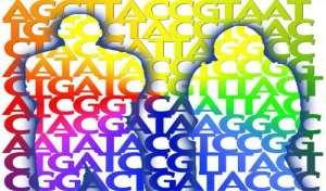 The Human Genome Project The human genome project began in 1990 and was completed on 14 th April 2003.