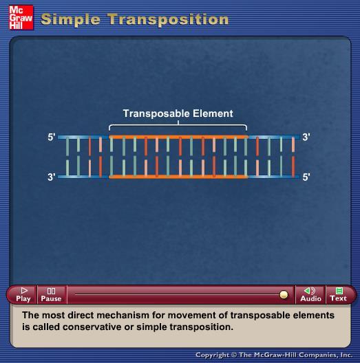 Animation: Simple Transposition Please note that due to differing operating systems, some animations will not appear until the presentation is viewed in Presentation Mode (Slide Show view).