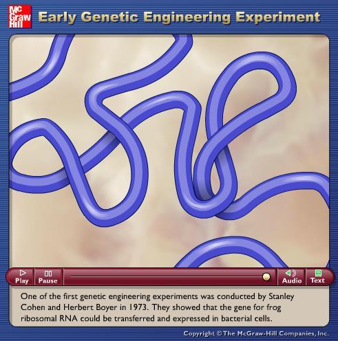 Animation: Early Genetic Engineering Experiment Please note that due to differing operating systems, some animations will not appear until the presentation is viewed in Presentation Mode (Slide Show