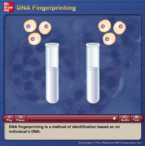 Animation: DNA Fingerprinting Please note that due to differing operating systems, some animations will not appear until the presentation is viewed in Presentation Mode (Slide Show view).