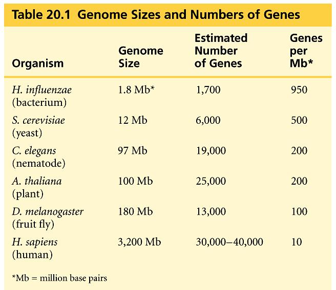 The surprising - and humbling - result to date from the Human Genome Project is the small number of human genes, 20,000 to 22,000.