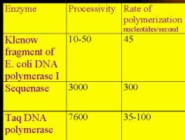 Polymerase Enzymes for DNA sequencing Processivity: