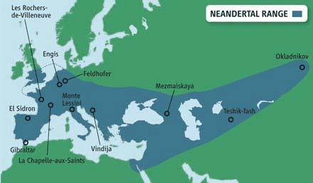 Although some researchers once thought they were our immediate ancestors in Europe, most now agree that Neandertals and modern humans most likely
