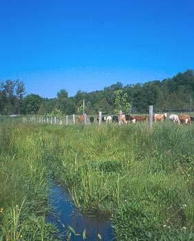 INNOVATIVE PRODUCERS IN THE GREAT LAKES BASIN Since 1992 34,500 Ontario farmers have participated in an Environmental Farm Plan (EFP) educational workshop.