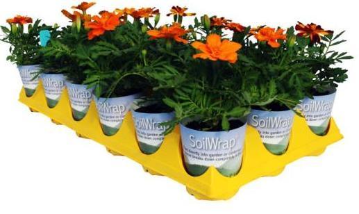 Ball Horticultural Company Launches Bottomless Plantable Pot The intention was to design a pot that can be planted in the ground.