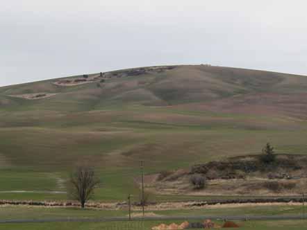 Map the Palouse, cont GIS layer available Researchers Agencies Planning and Zoning Prioritize Protection