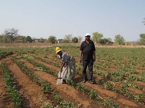 of policy on some of the respondents, some farms were re-visited in the middle of 2015 by the researcher to observe any changes that had taken place on these farms.