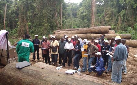 Activities per component (2/3) 2 Training of Forestry Authorities and forest-sector operators Training on the use of the IT system and new technologies for public and private operators Central