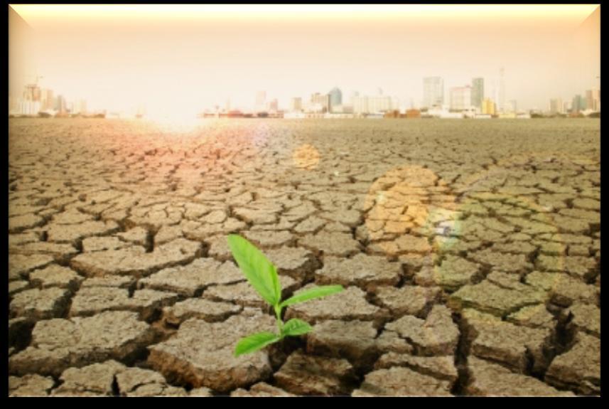 Desertification Desertification is the process by which environments become more like desert.