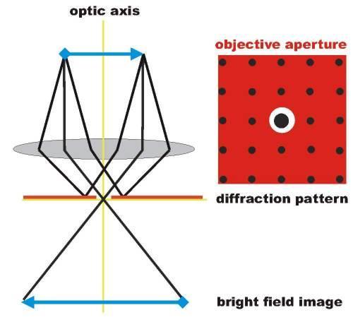 TEM imaging: bright field In image mode, the post-specimen lenses are set to examine the information in the transmitted signal at the image plane of the objective lens.