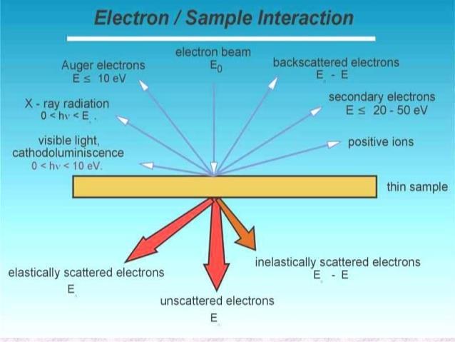 Scanning Transmission Electron Microscopy (STEM)