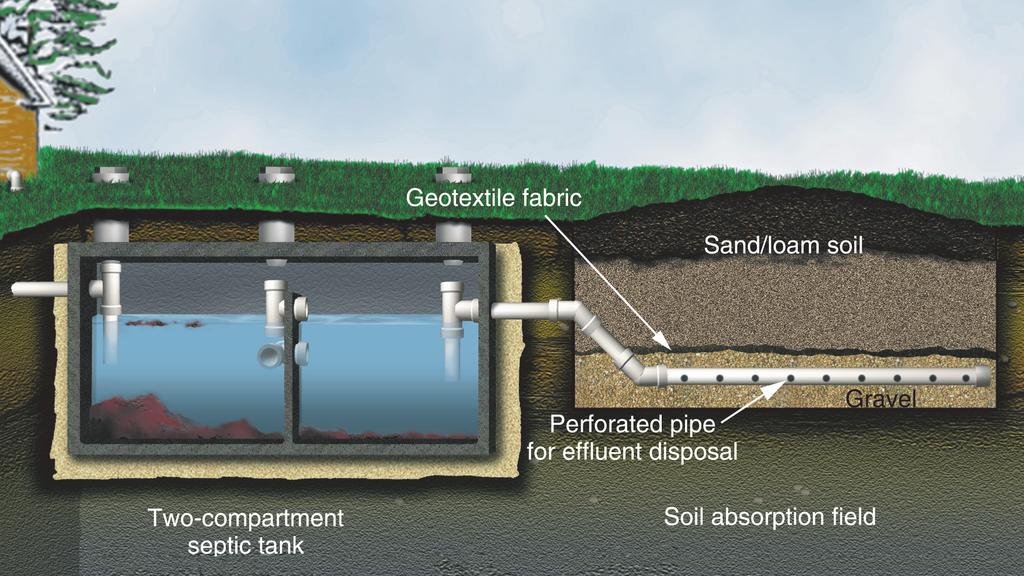 B-6171 10-08 Onsite wastewater treatment systems Figure 1: A septic tank and soil absorption field system. Homeowner's guide to evaluating service contracts Bruce J.