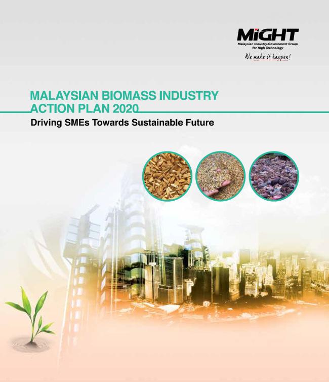 Develop recommendations and specific actions to mobilize the participation of Malaysian SMEs in the Biomass Value Chain towards creation of high value products