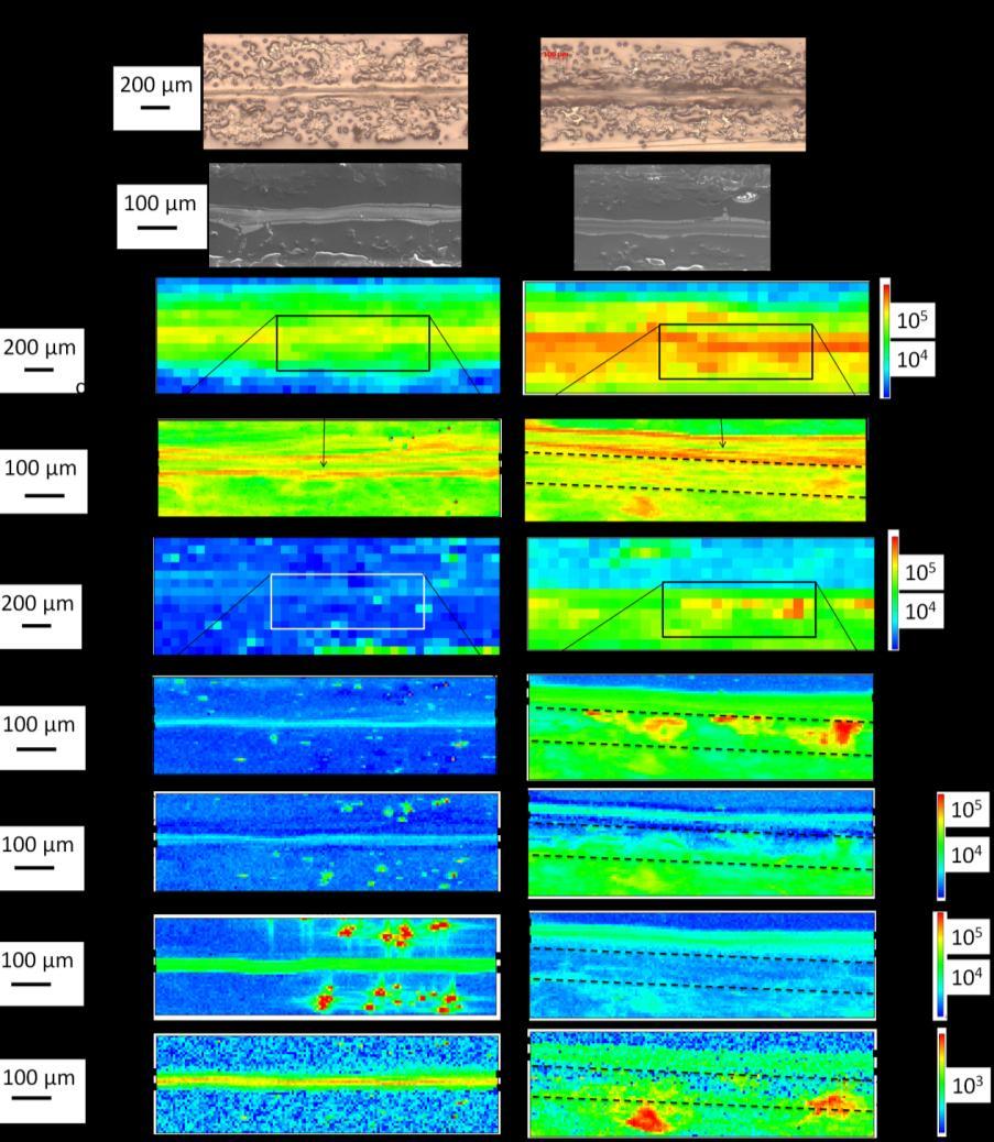 Figure 5-14. Pt, Fe, Ni, Cu and Cr XRF maps of MEA cross-sections with 60 µm x 60 µm or 6 µm x 6 µm beam size for the MEA from stack 9-1000-78 cell 20 hot area (right) and the unused MEA (left).