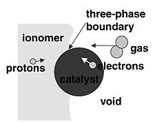 The electrochemical reactions of a PEMFC occur on the catalyst surface in the catalyst layer, where all species that are needed for these reactions (i.e. hydrogen or oxygen, H + ions and electrons) have access.