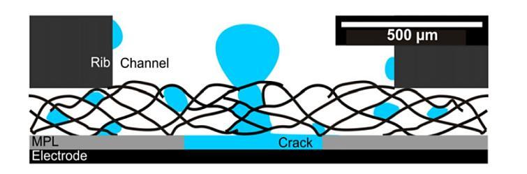 Figure 2-11. A droplet is formed in a crack in the MPL. Liquid water also presents in pores within the GDL and at channel walls.