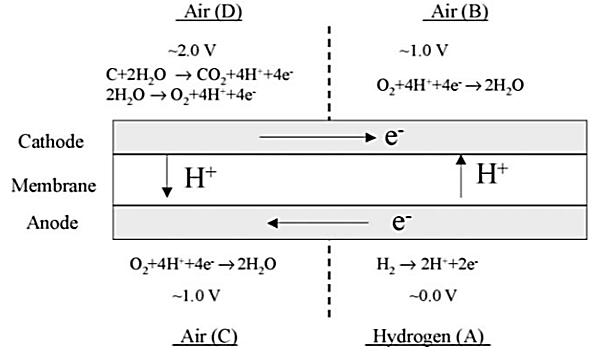 Figure 2-29. A fuel/air boundary (dotted line) forms four regions in a PEMFC [112].