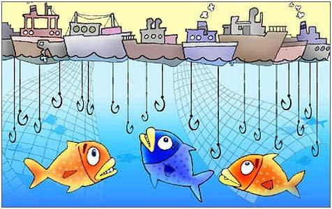 Fishery Resources Provides people with a wealth of food Overfishing, or the harvesting of fish