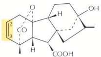 Acylcyclohexanedione PGRs 2β-hydroxylase Trinexapac-ethyl (Palisade) GA 20 3β-hydroxylase 2,3-desaturase GA 29 Prohexadione-calcium (Apogee) GA 1 GA 5 2-oxoglutaric acid Trinexapac-ethyl (TE) and