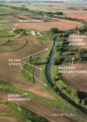 Example of CP evaluated by NTT Structural CPs Filter strips Stream channel stabilization Grass waterways Wetland, reservoir, and ponds Riparian forest