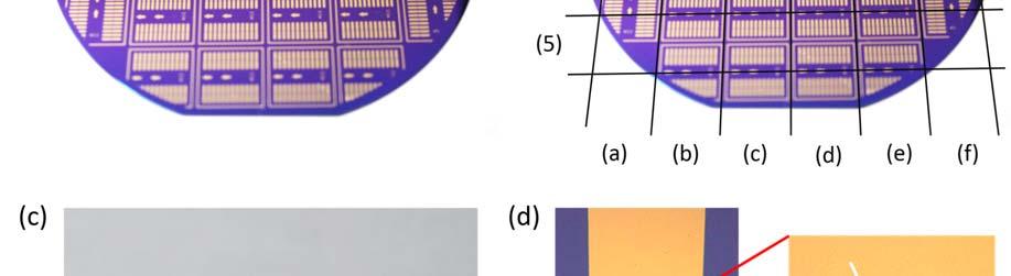 image from red rectangular area shows the rgo pattern which is connected with gold electrodes.