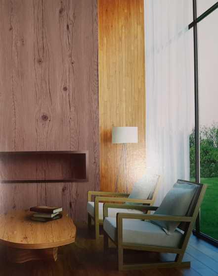 Century Laminates' exotic range of decorative laminates is characterized by higher color fastness and the best bonding
