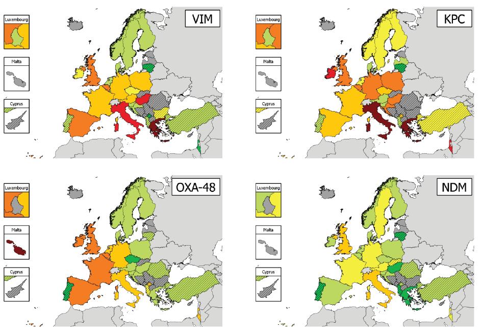 CARBAPENEMASES: ENZYMES DISTRIBUTION IN EUROPE ECDC.