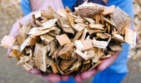 EARLY ANALYSIS: Biomass Fuel Source CHIPS Quality Control Challenges High Storage Volume