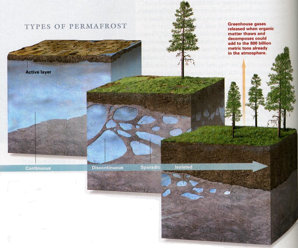 Permafrost Primer Permafrost: Ground at or below 0 C for at least 2 consecutive years Active Layer: A layer over permafrost that