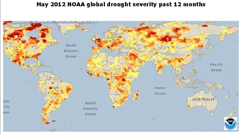 Unusual global extent of severe drought and