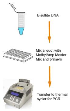 Schematic procedure for using the Methylamp MS-qPCR Fast Kit. PROTOCOL Prepare the PCR Reactions 1.