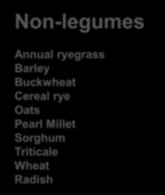 Non-legumes Annual ryegrass Barley Buckwheat Cereal rye Oats Pearl Millet Sorghum Triticale Wheat
