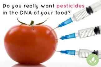 Anti-GMO propaganda is