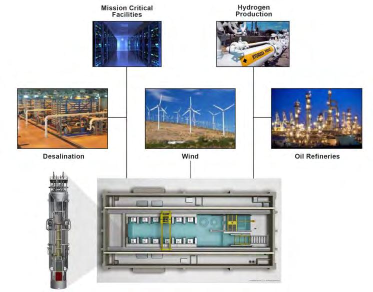 NuScale Diverse Energy Platform (NuDEP)