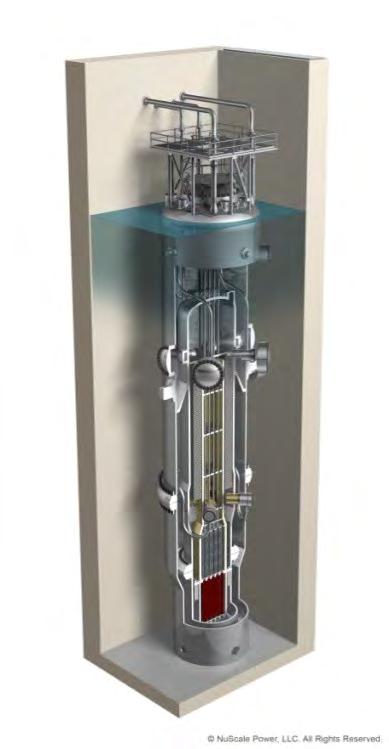 U.S. Department of Energy s Perspective on Small Modular Reactors Ray