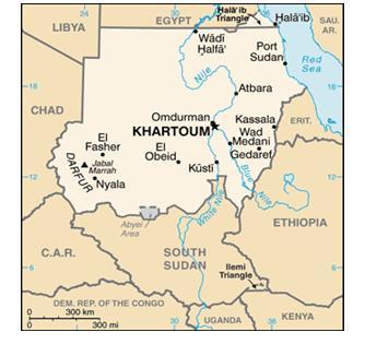 COMPETITIVENESS AND PROFITABILITY OF SUDANESE GUM ARABIC IN NORTH KORDOFAN STATE Ghada A. M. YASSEEN, Adil Y. ELJACK, Mohhamed E. D. AHMED, Aladdin E.