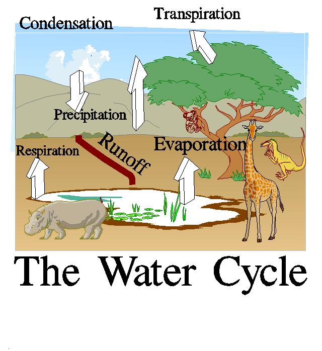 VAPOR GROUND WATER = water that is in the soil or stored underground WATER CYCLE =