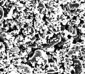 typical Min. Max. typical Min. Max. Specific Surface Area / BET [m 2 /g] 7.2 6.0 9.5 2.1 1.5 3.0 3.0 2.6 3.4 Particle Size / D50 Cilas [µm] 0.8 0.5 1.0 1.9 1.2 2.