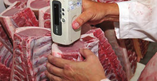 Although most producers do not get paid directly for meat quality, it is a key building block to the success of the swine industry.