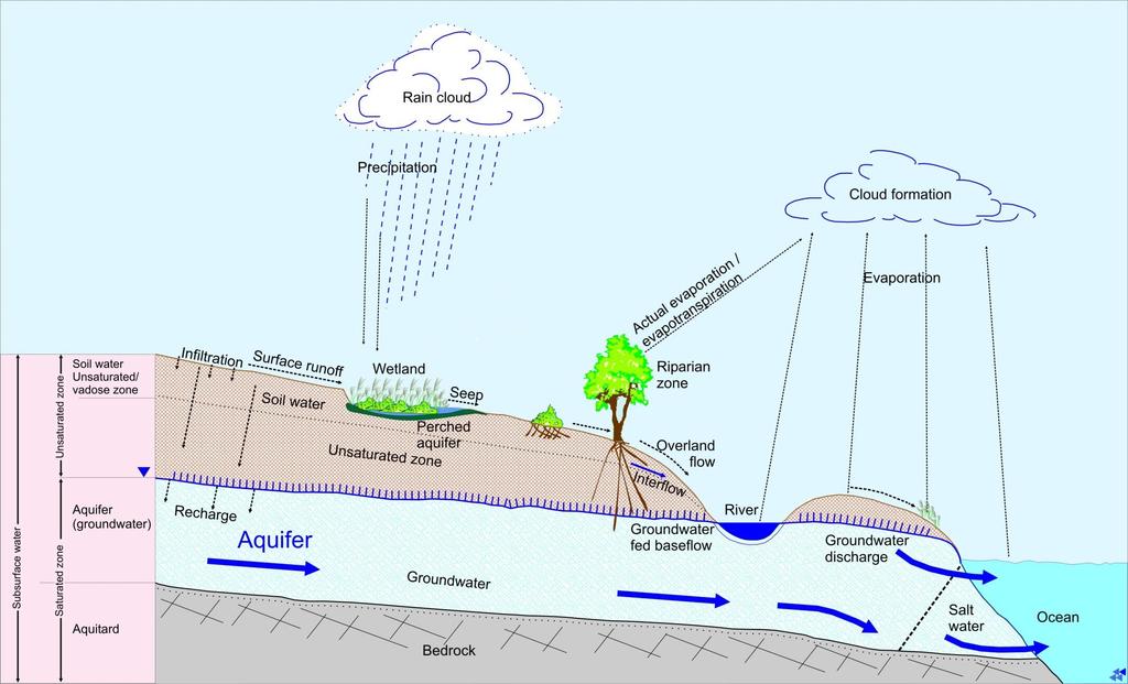 Hydrological Cycle: