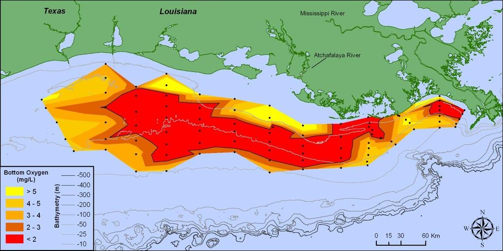 Bottom-water dissolved oxygen across the Louisiana shelf from July 22-28, 2013 Data source: N.N. Rabalais, Louisiana Universities Marine Consortium, R.E.