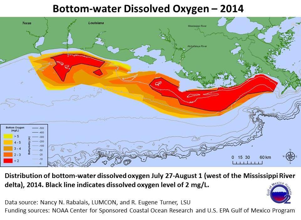 PRESS RELEASE LOUISIANA UNIVERSITIES MARINE CONSORTIUM August 4, 2013 The 2014 area of low oxygen, commonly known as the Dead Zone, measured 13,080 square kilometers (= 5,052 square miles) as of Aug