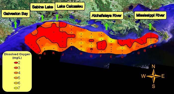 HYPOXIC ZONES IN NORTHERN GULF OF MEXICO