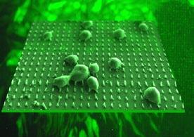 producing many different types and sizes of nanoscale devices, each with its own useful characteristics.