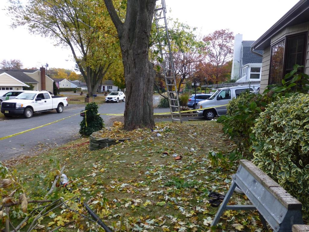 FIGURE 1: Incident site; front yard of residential property.