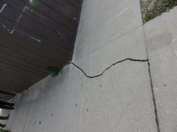 Background: Many thin cracks, and one of moderate severity, are present in the cement sidewalk