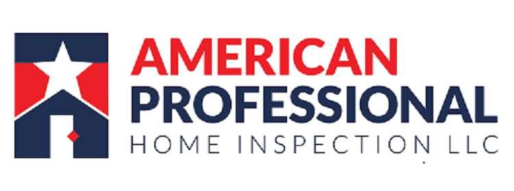 AMERICAN PROFESSIONAL HOME INSPECTION 719.