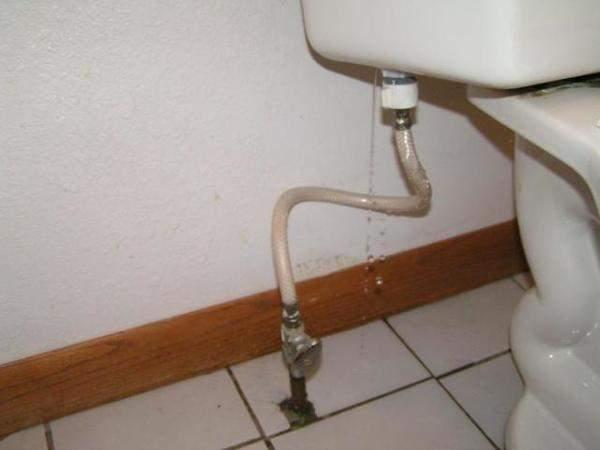 1.3 - FIXTURES / FAUCETS: TOILET LEAKING Toilet is dripping near water supply.