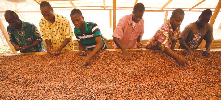 Blommer chocolate company Sustainability Programs Blommer Chocolate Company, a third-generation, family-run company, is fully committed to the world s cocoa farmers and their communities.
